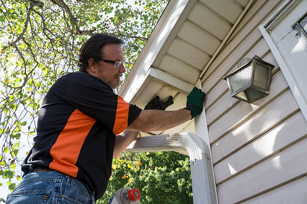 Affordable siding repair and maintenance services in De Smet, SD